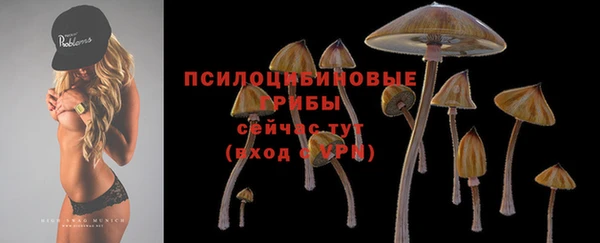 марки lsd Абаза