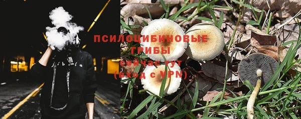 амф Абинск