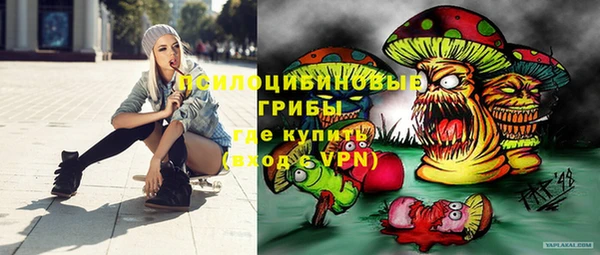 молекула духа Мегион